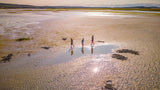 Clam Harbour Clam Digging Adventure - 2025 Season Has Ended